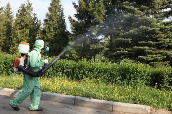 Уничтожение комаров в Волоколамске
